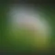 Zagraj Let It Ride z Playtech w {"id":7,"name":"Verde Casino","design":{"logo":"verde-casino-logo.XOohCF.svg","favicon":"verde-casino-favicon.tvNAnT.png","banner_poker":"verde-casino-poker.sm5GxN.webp","banner_mobile":"verde-casino-mobile.zIsxBi.webp","block_bg_color":"#10b981","image_bg_color":"#059669","banner_bg_color":"#10b981","primary_bg_color":"#ffffff","banner_text_color":"#fff","footer_logos_type":"black","block_round_radius":"0.5rem","primary_text_color":"#18181b","button_round_radius":"0.75rem","banner_welcome_bonus":"verde-casino-welcome-bonus.l17rM9.webp","primary_button_bg_color":"#A3DA07","primary_button_text_color":"#000","secondary_button_bg_color":"#d9f99d","secondary_button_text_color":"#030712"},"created_at":"2025-05-14T09:25:22.000000Z","updated_at":"2025-05-14T09:25:22.000000Z","deleted_at":null}